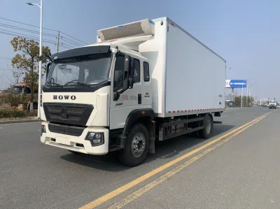 HOWO Sinotruk 4× 2 220HP Venda Diretamente Da Fábrica Congelador Refrigerado Transportador 45